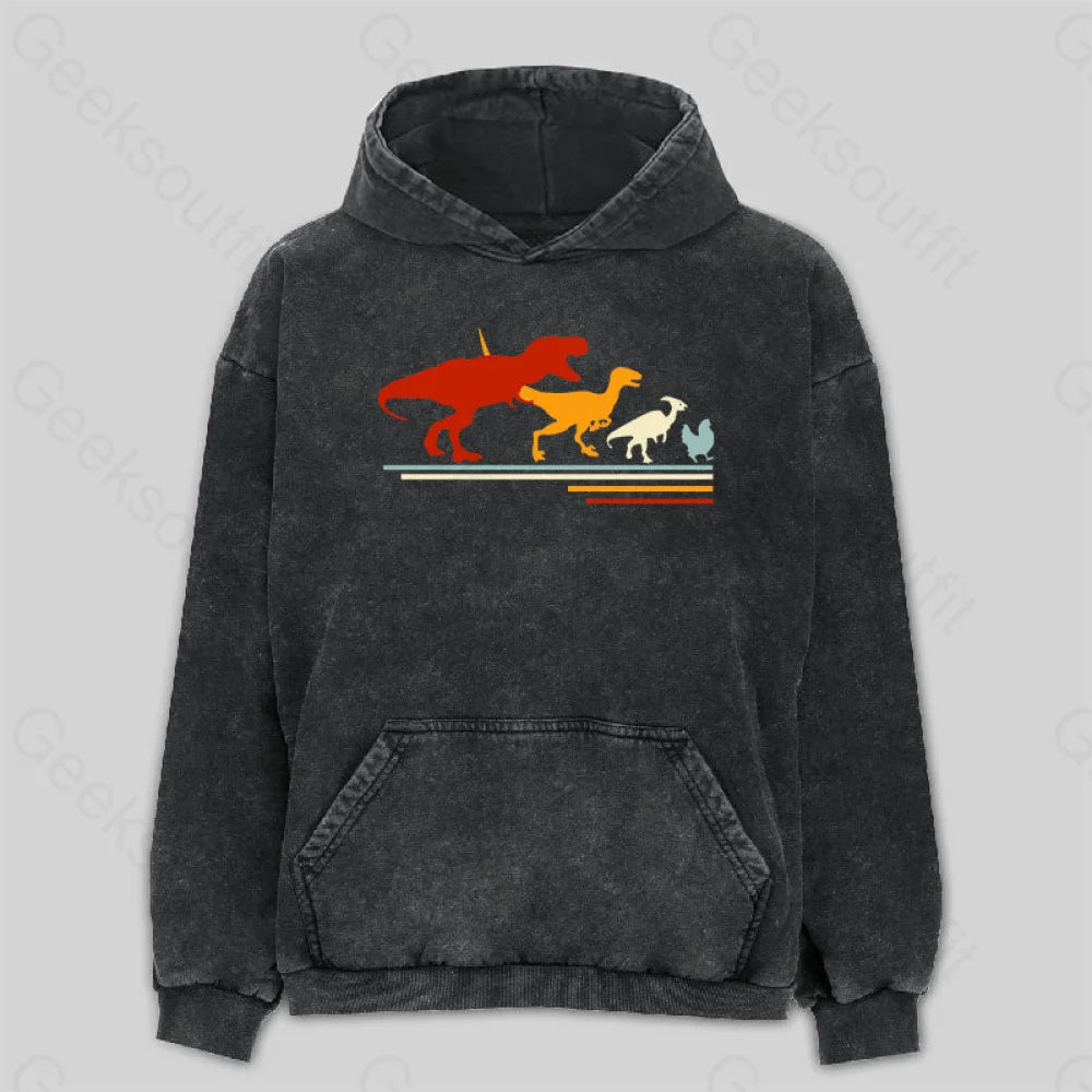 Vintage HoodiesDinosaur Evolution Washed Hoodie