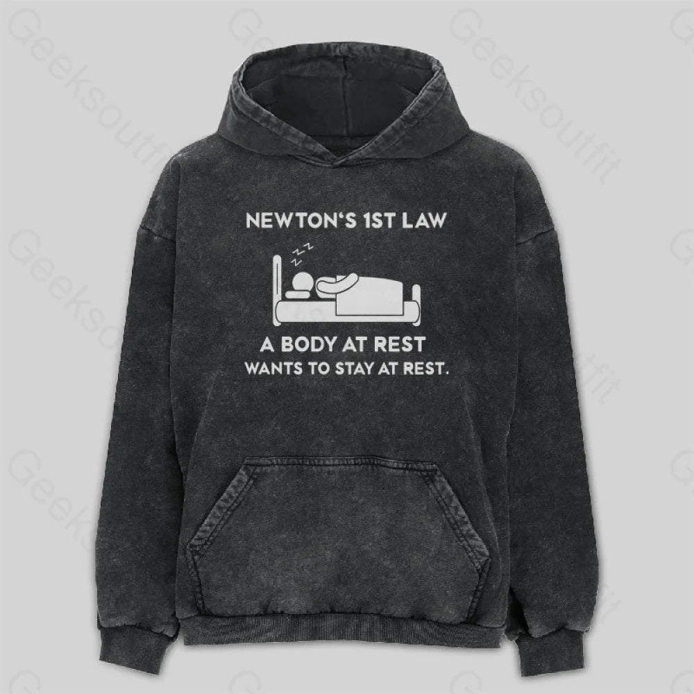 Cashmere HoodiesNewton's First Law Washed Hoodie