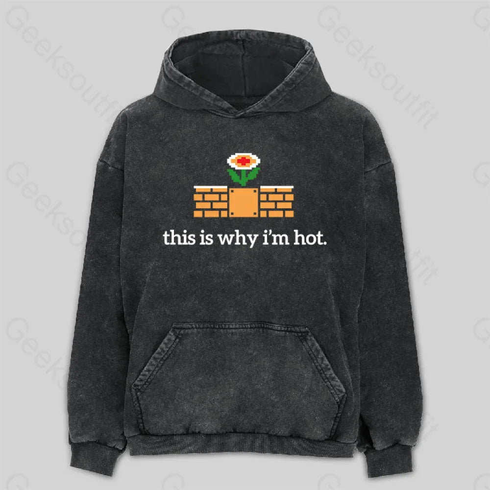 Hiking HoodiesThis Is Why I'm Hot Washed Hoodie